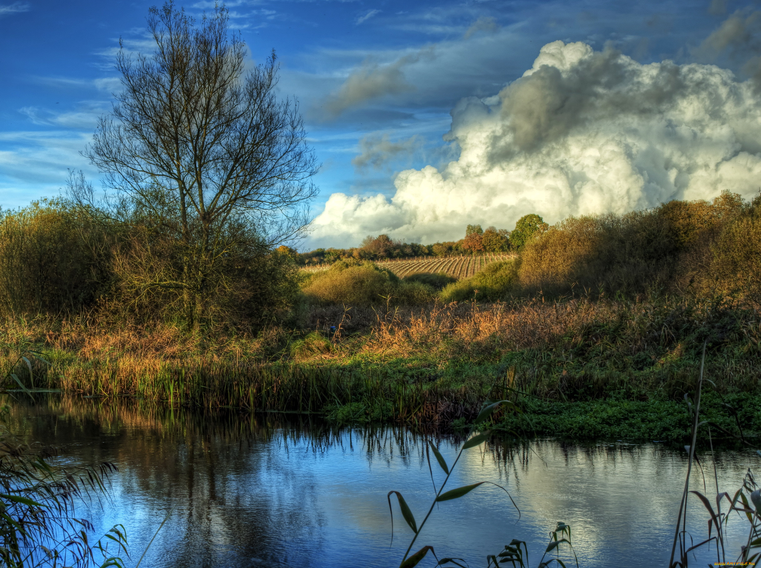 river, itchen, avington, , , , , , , 